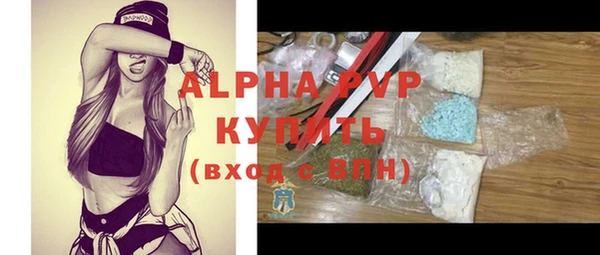 прущие грибы Верея