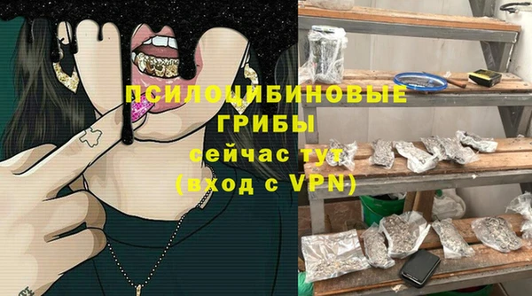ешки Володарск