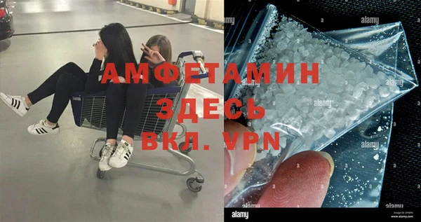 прущие грибы Верея