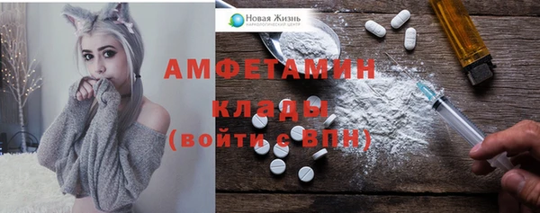 прущие грибы Верея