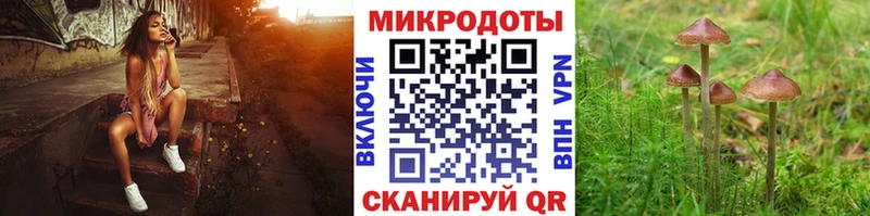 Галлюциногенные грибы MAGIC MUSHROOMS  Купить  Вилючинск 